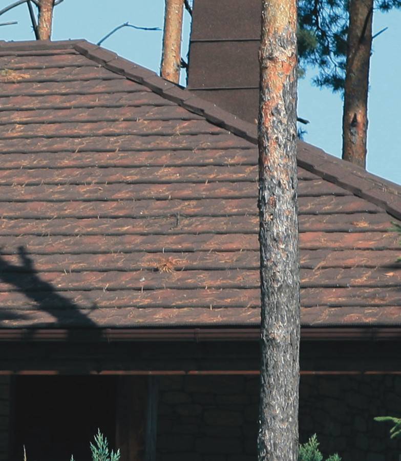 GERARD Senator Bark Ukraine