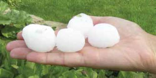Hail resistant