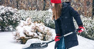 Winter Garden Without Hard Work: What You Can Do in January