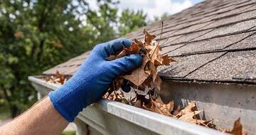 Autumn Lawn Care: How to Prepare It for Cooler Days