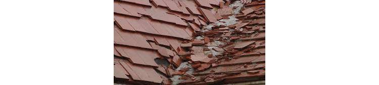 2 Popular Roof Categories That May Surprisingly let you down