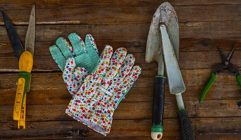 How to Protect Your Garden Tools and Furniture Before Winter