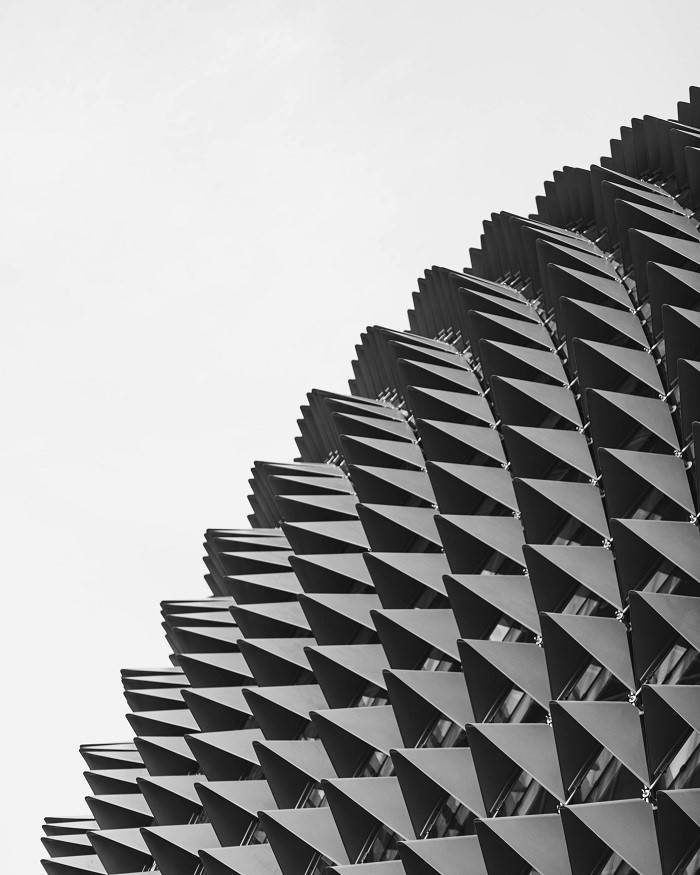 Roofs inspired by nature