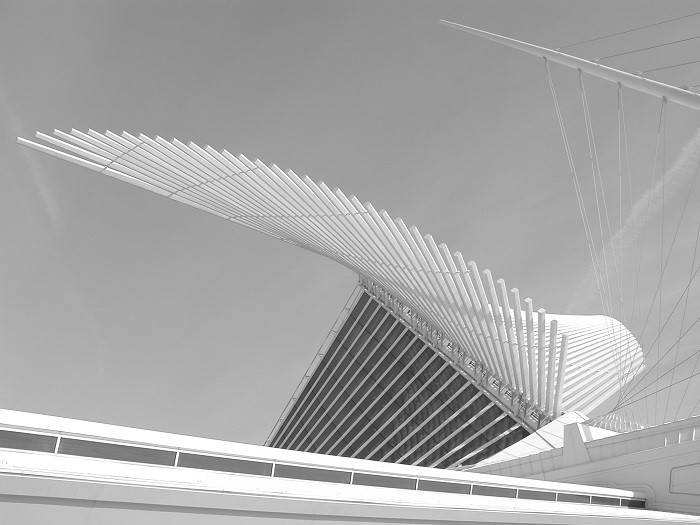 Roofs inspired by nature
