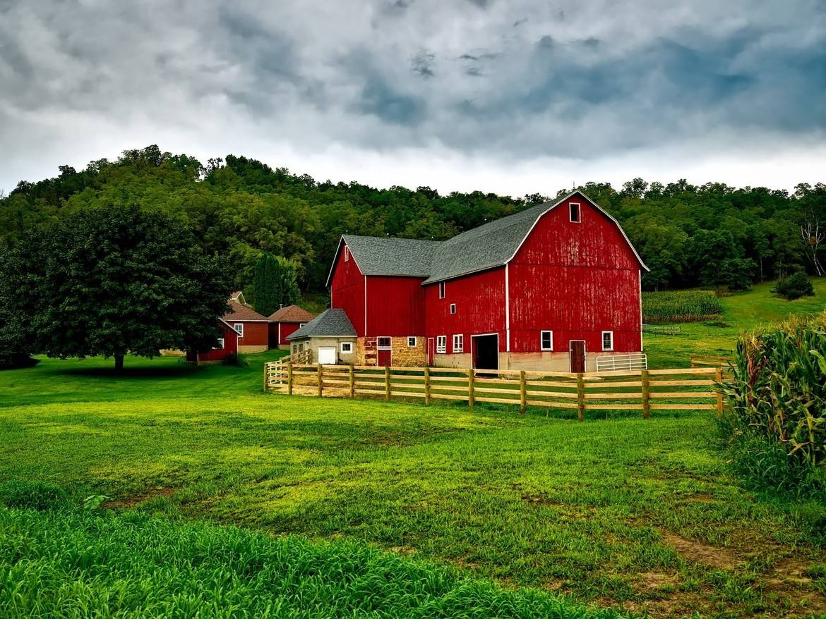Exploring the World of Roof Pitches: Styles, Features, and Regional Influences