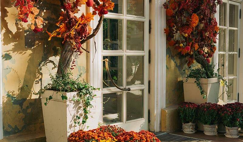 Get Your Patio or Garden Ready for Autumn Gatherings
