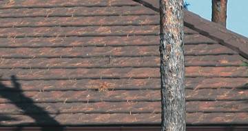 GERARD Kanadska šindra Bark