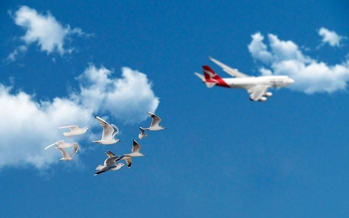 A természet által ihletett tetőtervezés