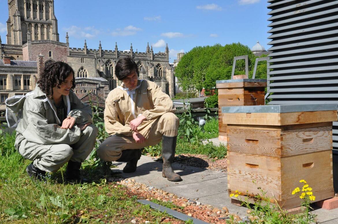 Source: https://www.wethecurious.org/bees