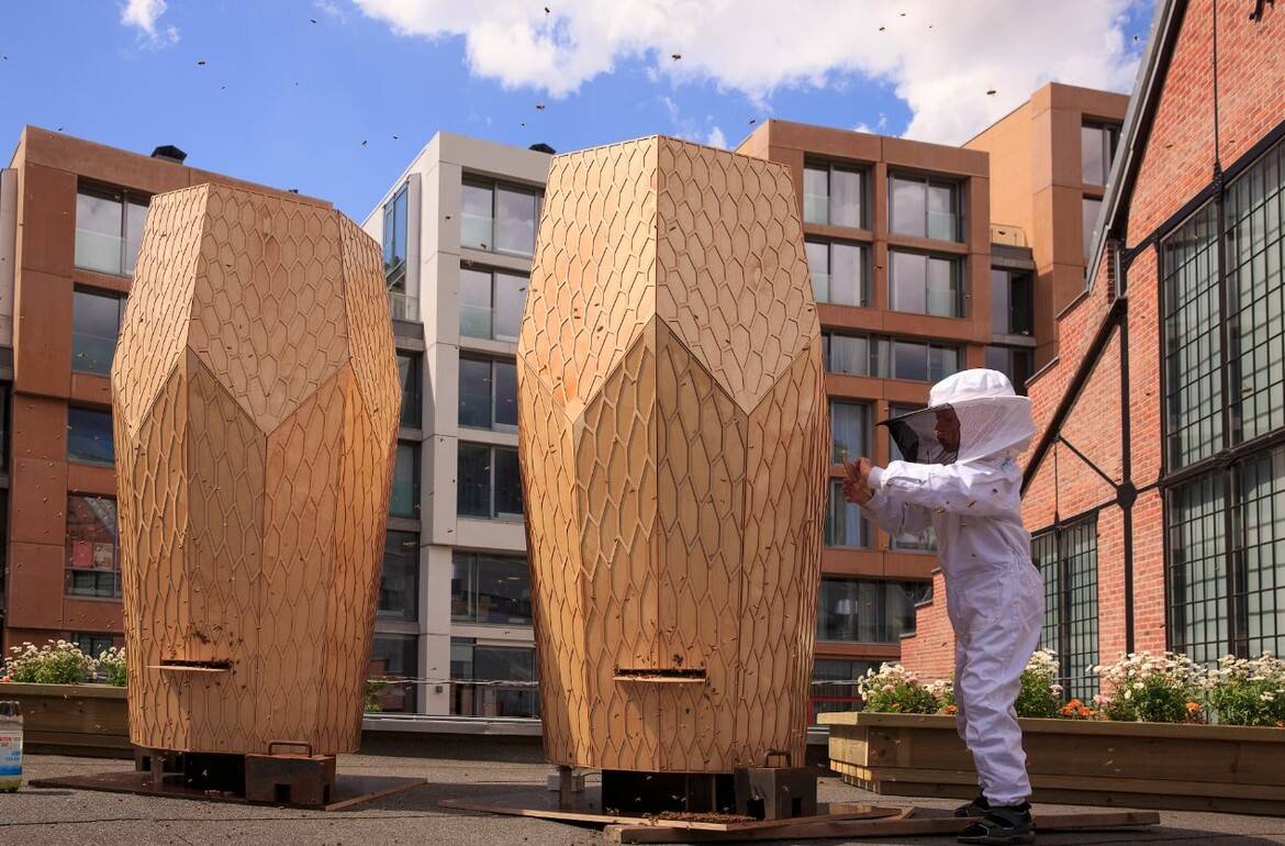 Source: https://www.snohetta.com/projects/vulkan-beehives