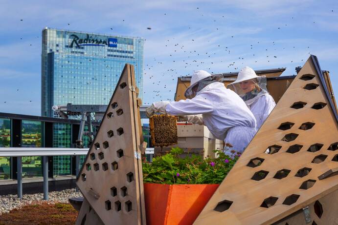 Source: Didrick Stenersen