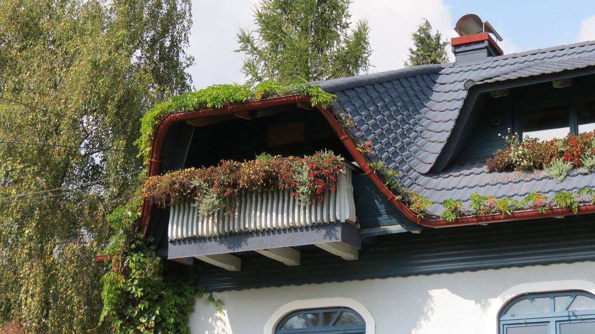 GERARD Classic Sapphire