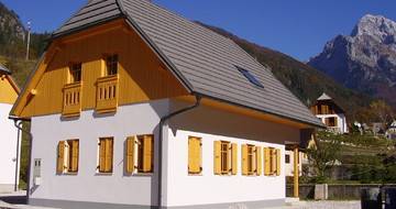 GERARD Corona Tamsiai sidabrinė Posocje, Slovenia