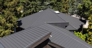 GERARD Corona Medžio anglis Slovenia