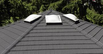 GERARD Corona Medžio anglis Slovenia