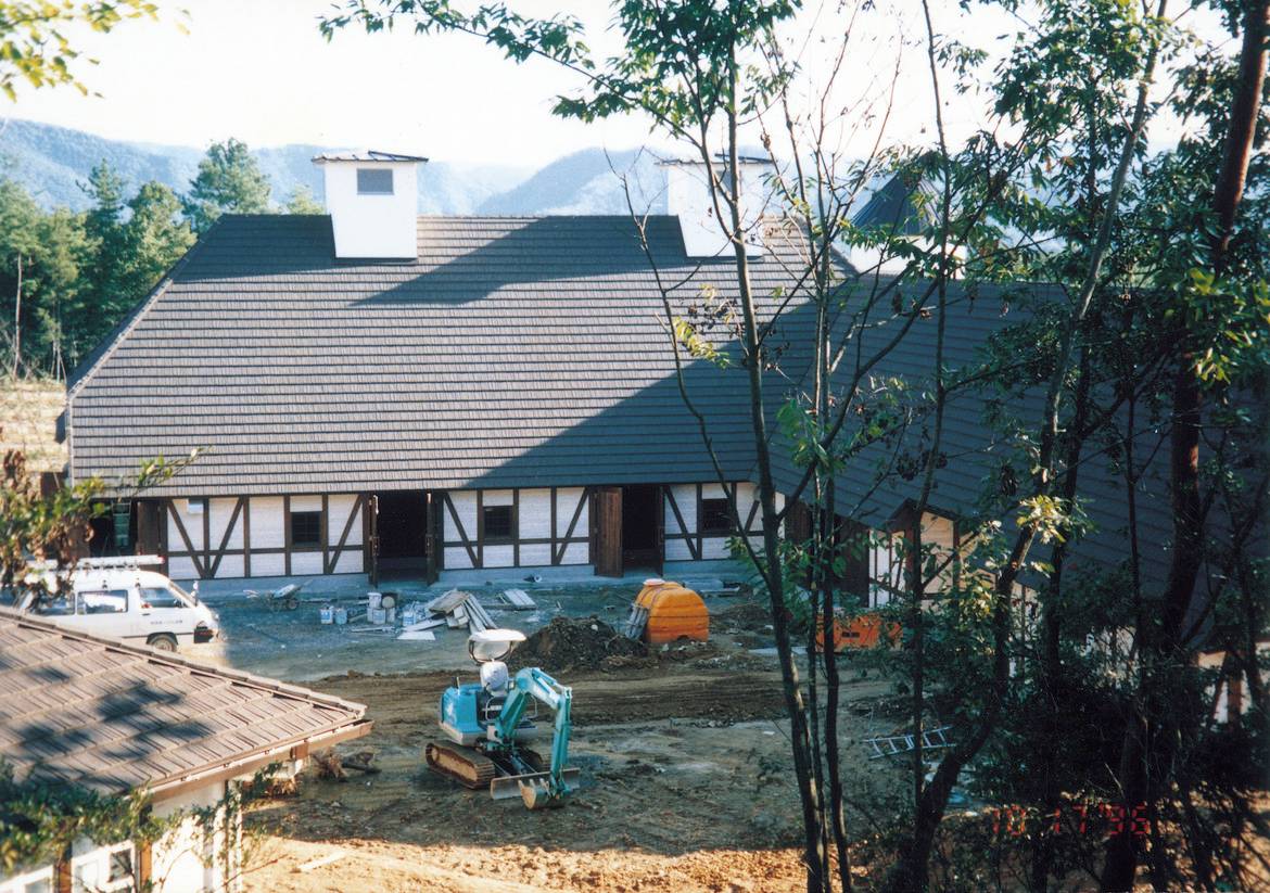 GERARD Corona Tamsiai sidabrinė