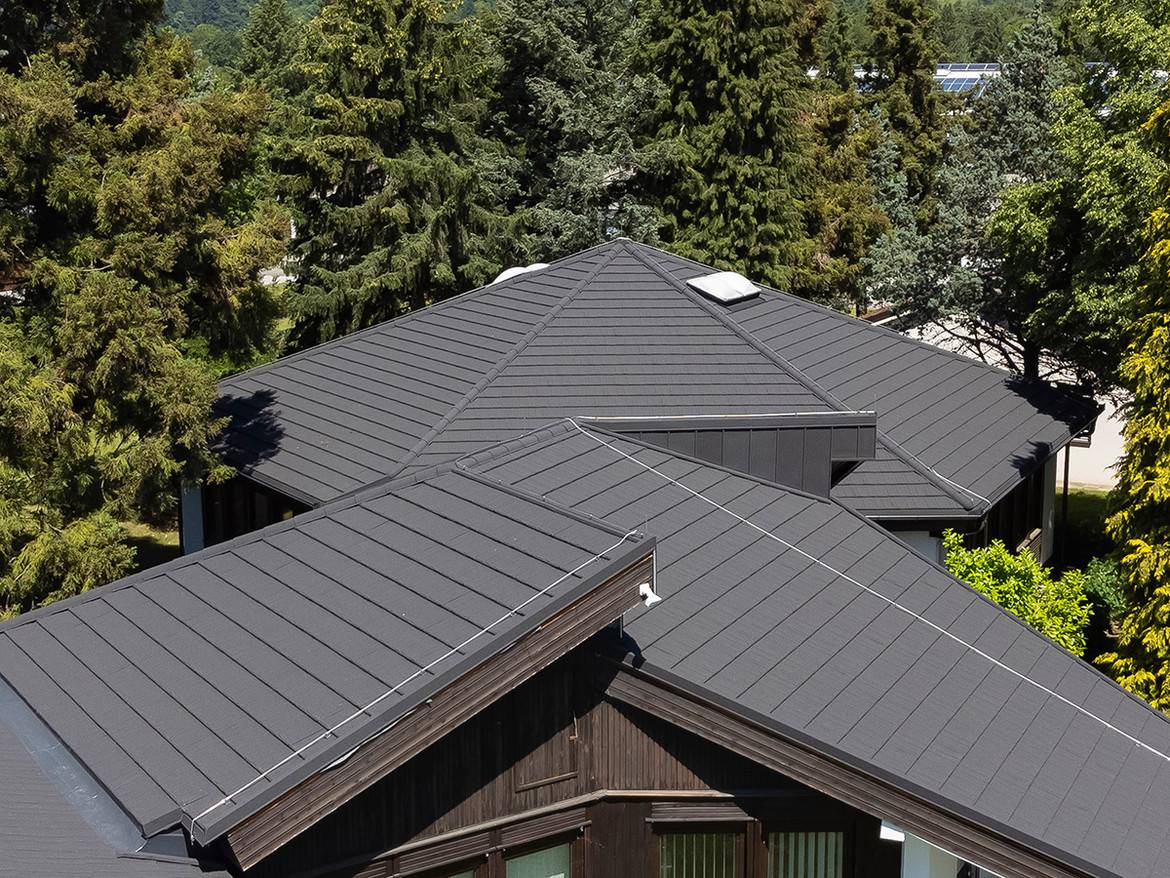 GERARD Corona Medžio anglis Slovenia