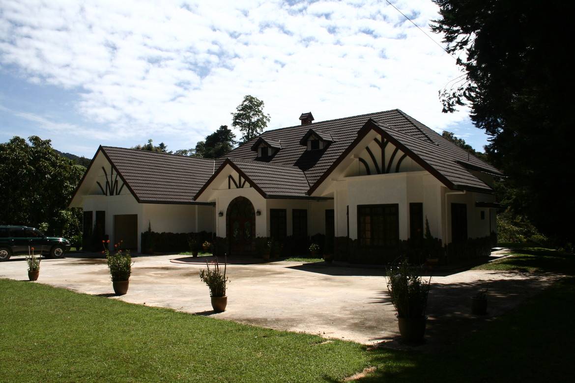 GERARD Classic Medžio anglis