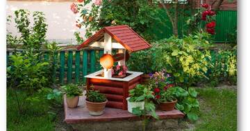 Idei de amenajare a curţii micuţe din spate