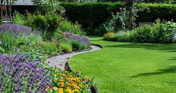 Înfrumuseţează-ţi grădina cu plante de toamnă