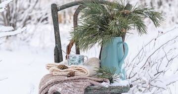 CUM SĂ ÎŢI PREGĂTEŞTI GRĂDINA PENTRU IARNĂ