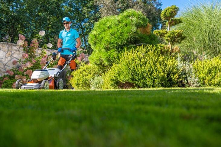 Idei de amenajare a curţii micuţe din spate