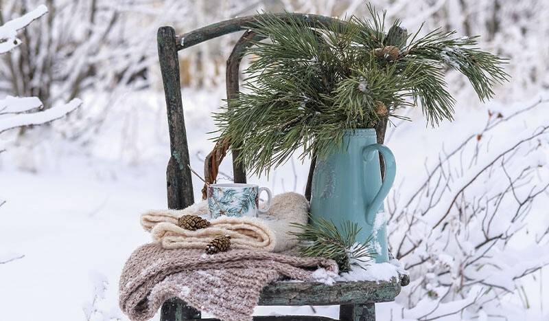 CUM SĂ ÎŢI PREGĂTEŞTI GRĂDINA PENTRU IARNĂ