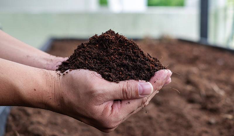 CUM SĂ ÎŢI PREGĂTEŞTI GRĂDINA PENTRU IARNĂ