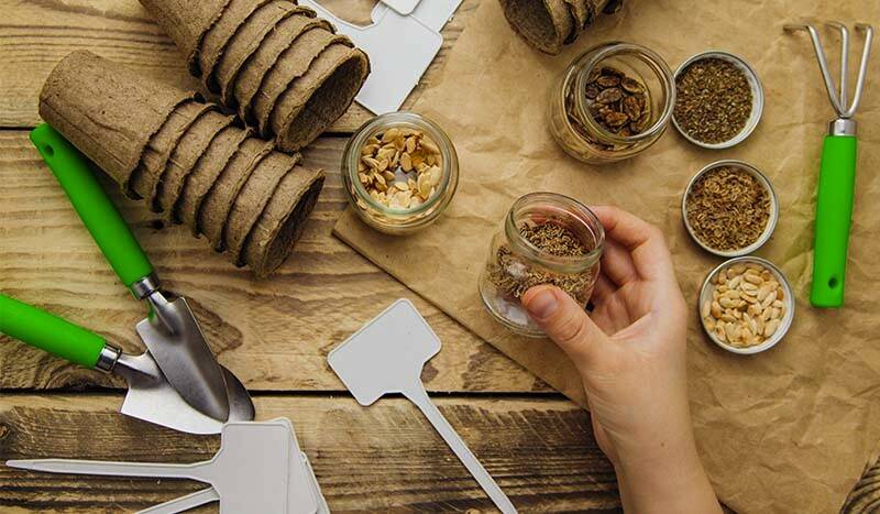 CUM SĂ ÎŢI PREGĂTEŞTI GRĂDINA PENTRU IARNĂ