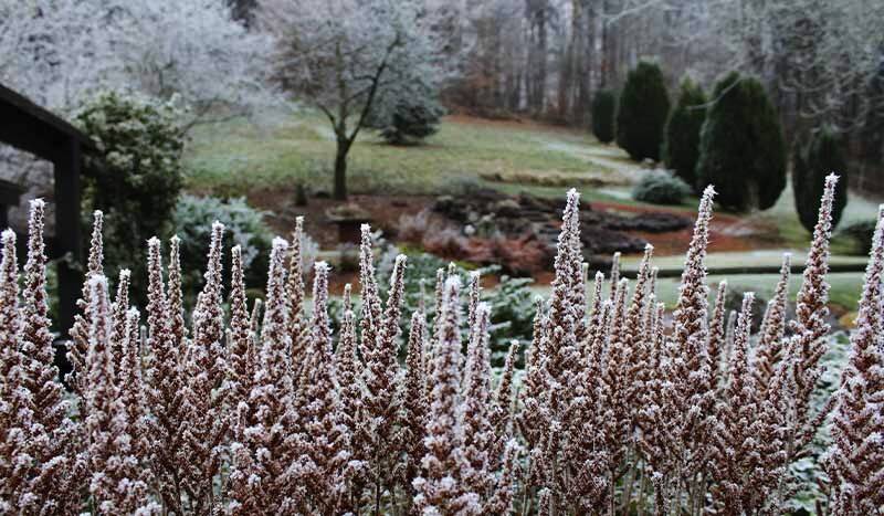 CUM SĂ ÎŢI PREGĂTEŞTI GRĂDINA PENTRU IARNĂ