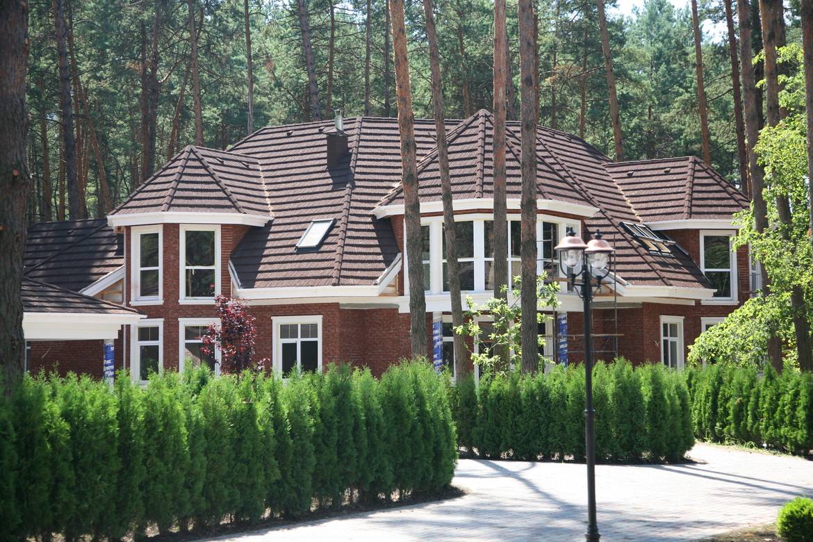 GERARD KORONA ŠINDRA Cedar