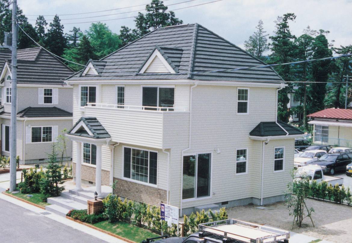 GERARD KORONA ŠINDRA Dark Silver