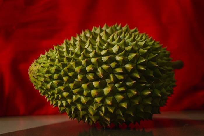 Oblikovanje streh z navdihom iz narave