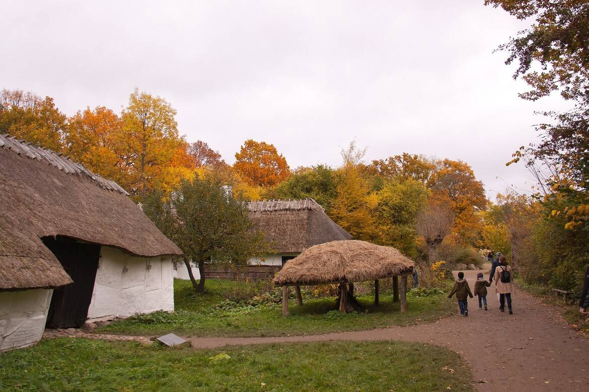 Umetnost in tradicija ohranjanja zgodovinskih streh Evrope