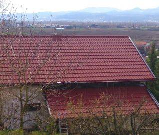 Obiteljska kuća