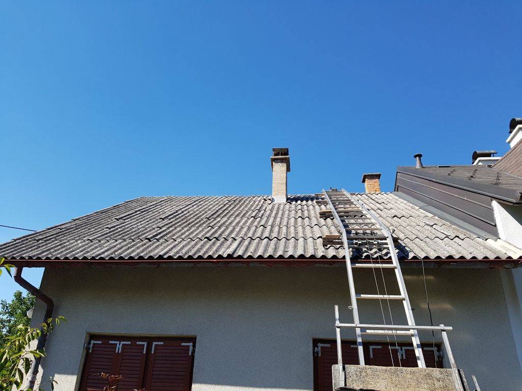 Obiteljska kuća