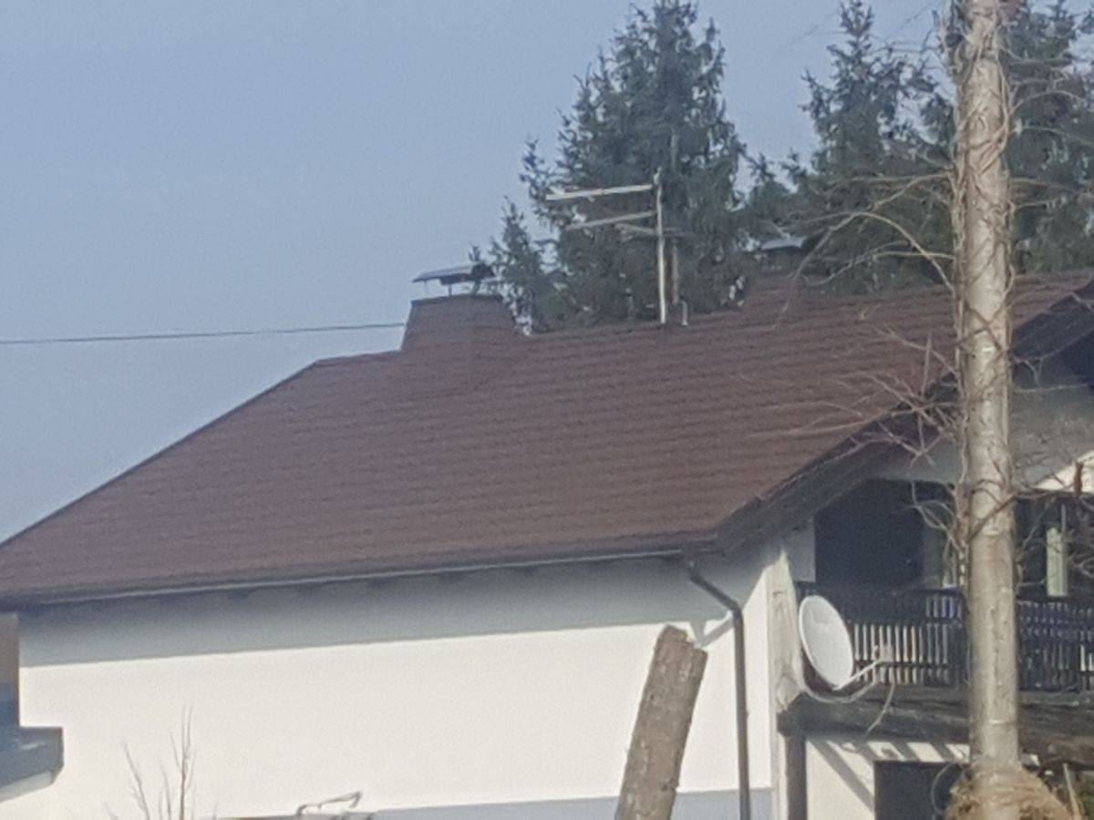 Obiteljska kuća