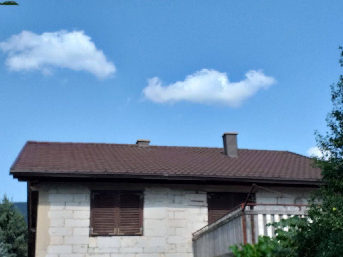Obiteljska kuća