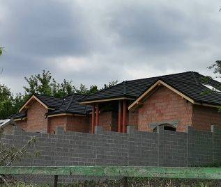 Single-family house