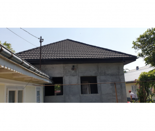 Single-family house