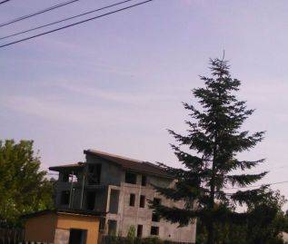 Single-family house