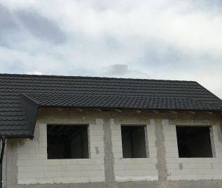 Single-family house