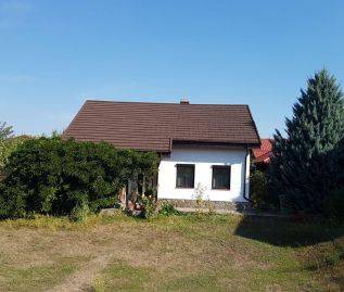 Single-family house