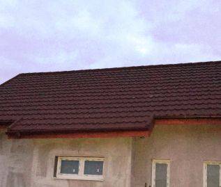 Single-family house