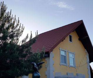 Single-family house
