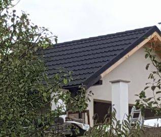 Single-family house