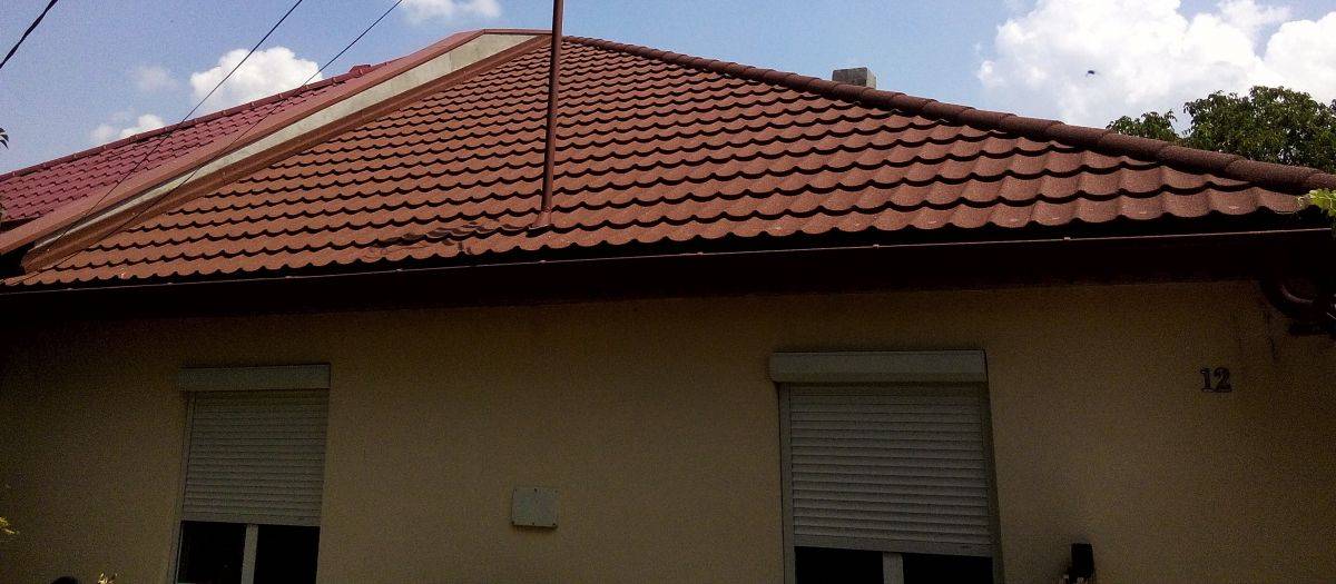 Single-family house