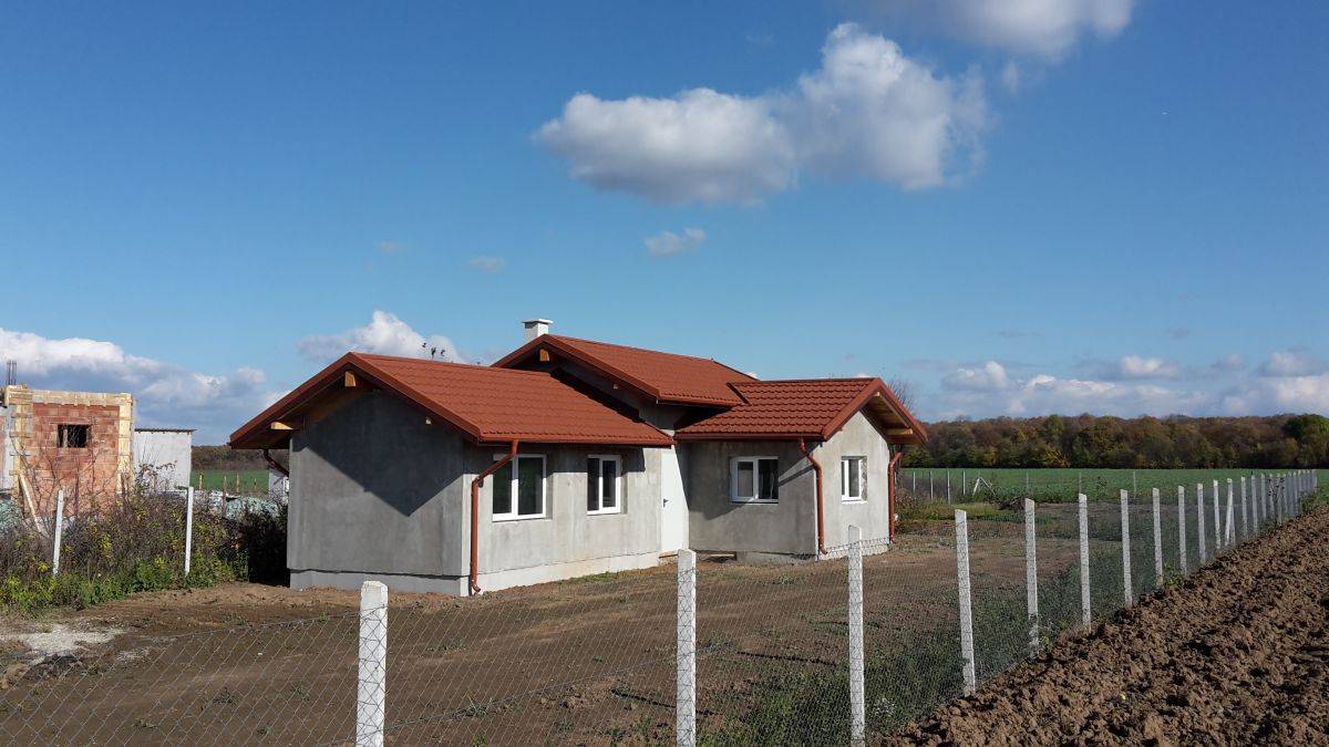 Single-family house