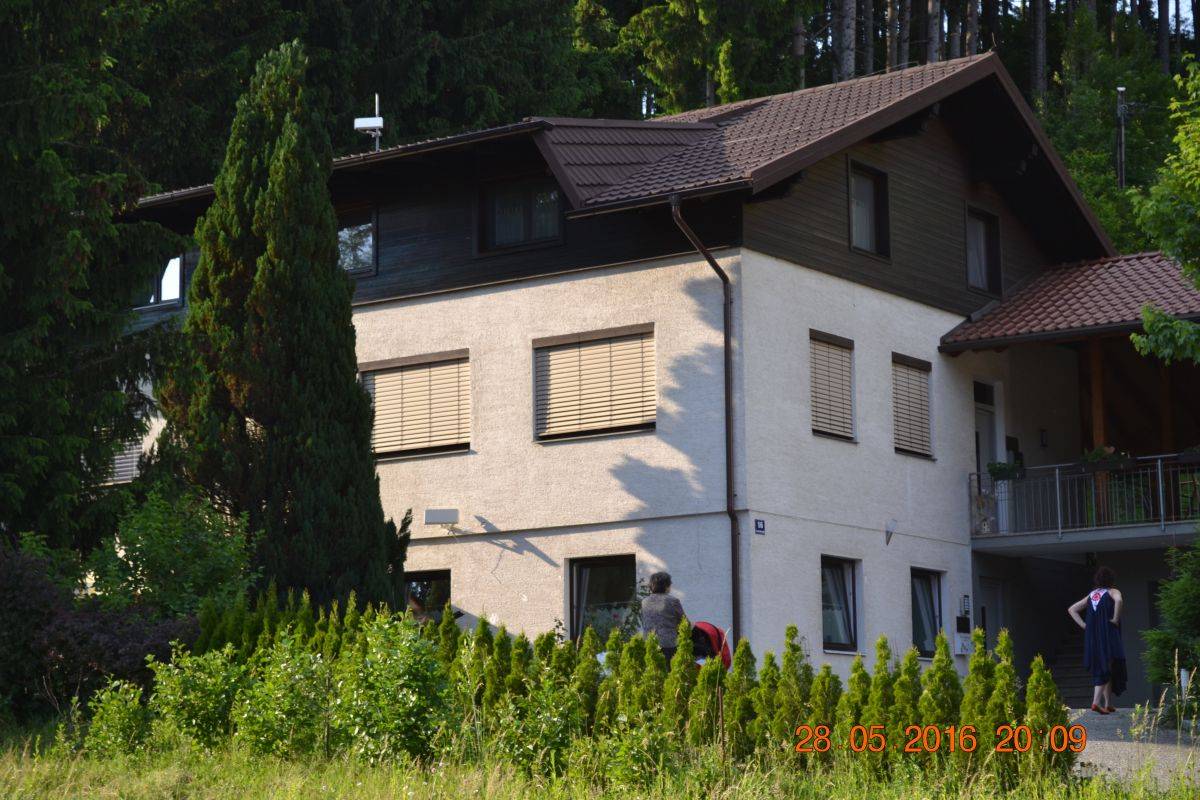 Single-family house