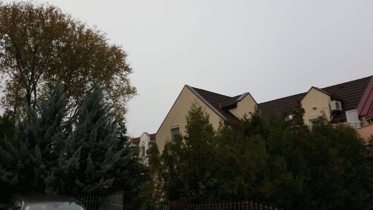Single-family house